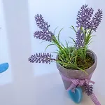 Val Split